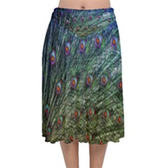 Peacock Feathers Colorful Feather Velvet Flared Midi Skirt by Pakrebo