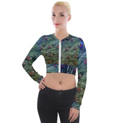 Peacock Feathers Colorful Feather Long Sleeve Cropped Velvet Jacket