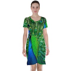 Peacock Peafowl Pattern Plumage Short Sleeve Nightdress