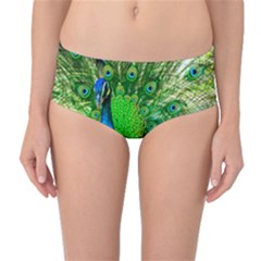 Peacock Peafowl Pattern Plumage Mid-waist Bikini Bottoms by Pakrebo