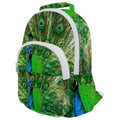 Peacock Peafowl Pattern Plumage Rounded Multi Pocket Backpack