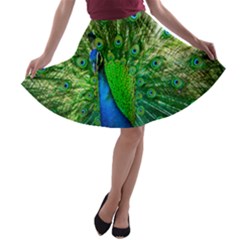 Peacock Peafowl Pattern Plumage A-line Skater Skirt by Pakrebo