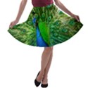 Peacock Peafowl Pattern Plumage A-line Skater Skirt View1