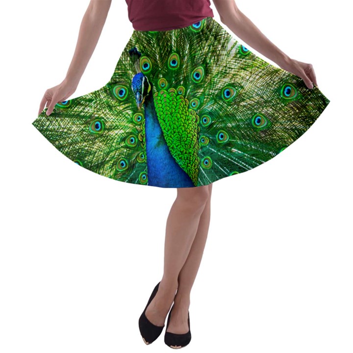 Peacock Peafowl Pattern Plumage A-line Skater Skirt