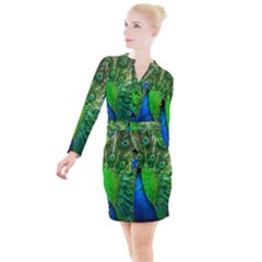 Peacock Peafowl Pattern Plumage Button Long Sleeve Dress by Pakrebo