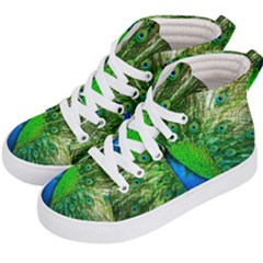 Peacock Peafowl Pattern Plumage Kids  Hi-top Skate Sneakers by Pakrebo