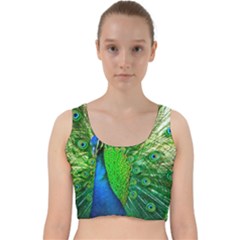 Peacock Peafowl Pattern Plumage Velvet Racer Back Crop Top by Pakrebo