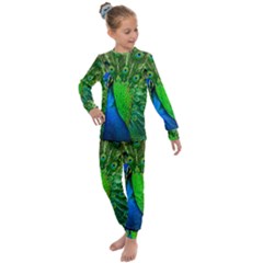 Peacock Peafowl Pattern Plumage Kids  Long Sleeve Set  by Pakrebo