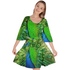 Peacock Peafowl Pattern Plumage Velour Kimono Dress by Pakrebo