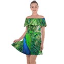 Peacock Peafowl Pattern Plumage Off Shoulder Velour Dress View1