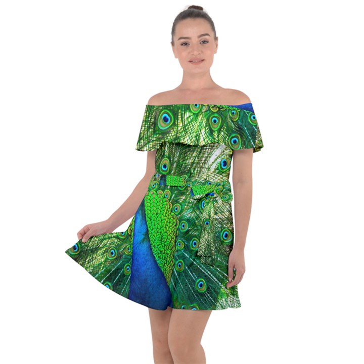 Peacock Peafowl Pattern Plumage Off Shoulder Velour Dress