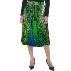 Peacock Peafowl Pattern Plumage Classic Velour Midi Skirt  by Pakrebo