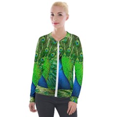 Peacock Peafowl Pattern Plumage Velour Zip Up Jacket