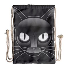 Grey Eyes Kitty Cat Drawstring Bag (large)