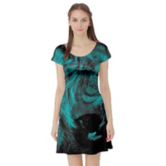 Angry Male Lion Predator Carnivore Short Sleeve Skater Dress by Sudhe