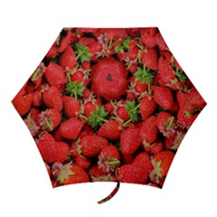 Strawberries Mini Folding Umbrellas by TheAmericanDream