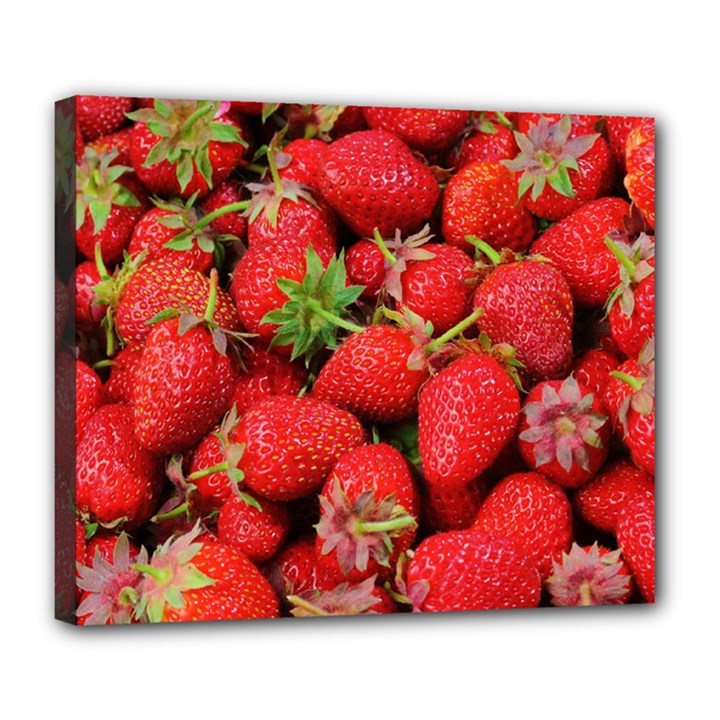 Strawberries Deluxe Canvas 24  x 20  (Stretched)