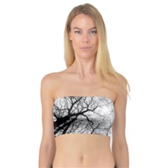 Forest Trees Silhouette Tree Bandeau Top by Pakrebo