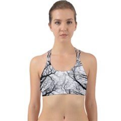 Forest Trees Silhouette Tree Back Web Sports Bra by Pakrebo