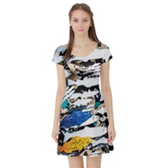 Art Fish Salmon Sydney Metal Short Sleeve Skater Dress by Pakrebo