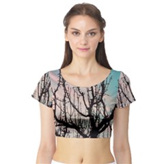 Fruit Tree Silhouette Aesthetic Short Sleeve Crop Top by Pakrebo