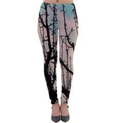 Fruit Tree Silhouette Aesthetic Lightweight Velour Leggings by Pakrebo