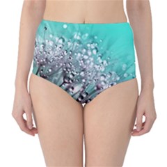 Dandelion Seeds Flower Nature Classic High-waist Bikini Bottoms by Pakrebo