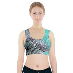 Dandelion Seeds Flower Nature Sports Bra With Pocket by Pakrebo