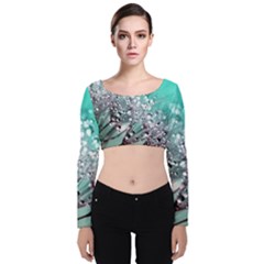 Dandelion Seeds Flower Nature Velvet Long Sleeve Crop Top by Pakrebo