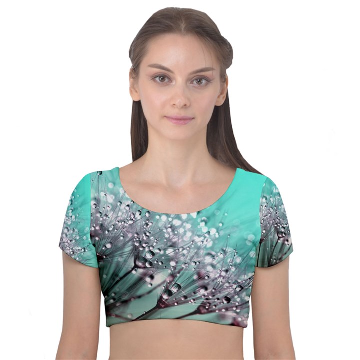 Dandelion Seeds Flower Nature Velvet Short Sleeve Crop Top 