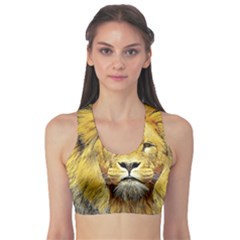 Lion Lioness Wildlife Hunter Sports Bra