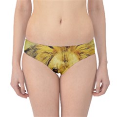 Lion Lioness Wildlife Hunter Hipster Bikini Bottoms by Pakrebo