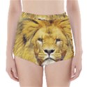 Lion Lioness Wildlife Hunter High-Waisted Bikini Bottoms View1