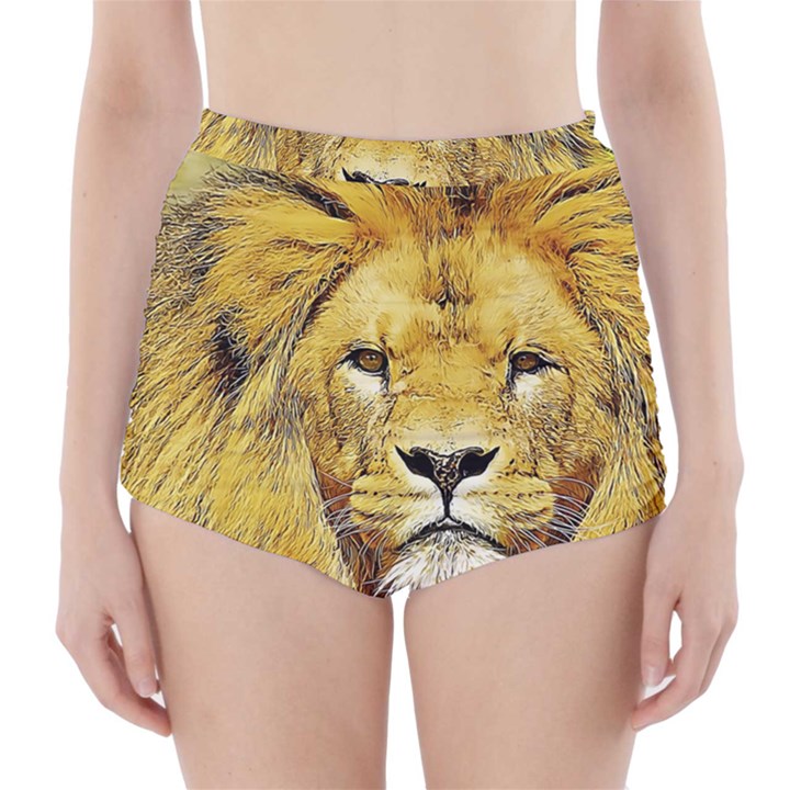 Lion Lioness Wildlife Hunter High-Waisted Bikini Bottoms