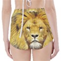 Lion Lioness Wildlife Hunter High-Waisted Bikini Bottoms View2