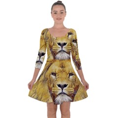 Lion Lioness Wildlife Hunter Quarter Sleeve Skater Dress by Pakrebo