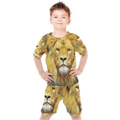 Lion Lioness Wildlife Hunter Kids  Tee And Shorts Set by Pakrebo