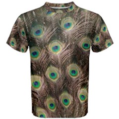 Bird Peacock Tail Feathers Men s Cotton Tee by Pakrebo