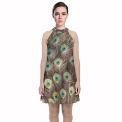 Bird Peacock Tail Feathers Velvet Halter Neckline Dress  by Pakrebo