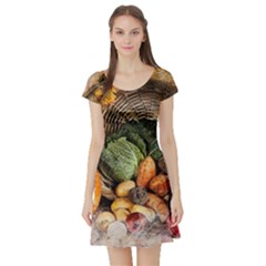 Pumpkin Vegetables Autumn Short Sleeve Skater Dress by Pakrebo