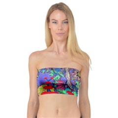 Abstract Forest  Bandeau Top