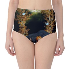 Cute Fairy With Awesome Wolf In The Night Classic High-waist Bikini Bottoms by FantasyWorld7