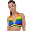 LGBT Rainbow Pride Flag Halter Plunge Bikini Top View1