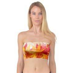 Autumn Background Maple Leaves Bokeh Bandeau Top