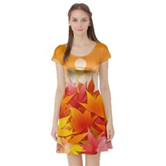 Autumn Background Maple Leaves Bokeh Short Sleeve Skater Dress by Nexatart