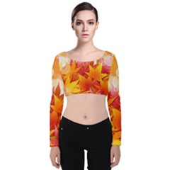 Autumn Background Maple Leaves Bokeh Velvet Long Sleeve Crop Top by Nexatart