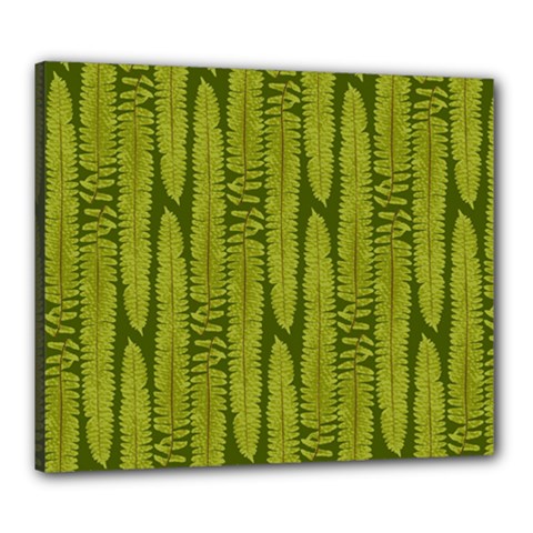 Fern Texture Nature Leaves Canvas 24  X 20  (stretched) by Nexatart