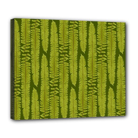 Fern Texture Nature Leaves Deluxe Canvas 24  X 20  (stretched) by Nexatart