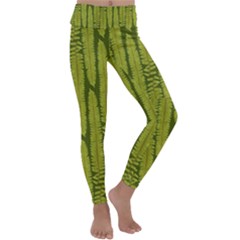 Fern Texture Nature Leaves Kids  Lightweight Velour Classic Yoga Leggings by Nexatart