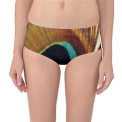 Feather Peacock Feather Peacock Mid-waist Bikini Bottoms by Nexatart